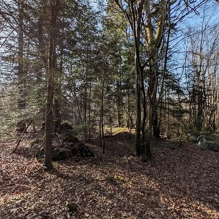 Villa De Luxe, Piscine Chauffée&nature Vitrai-Sous-Laigle