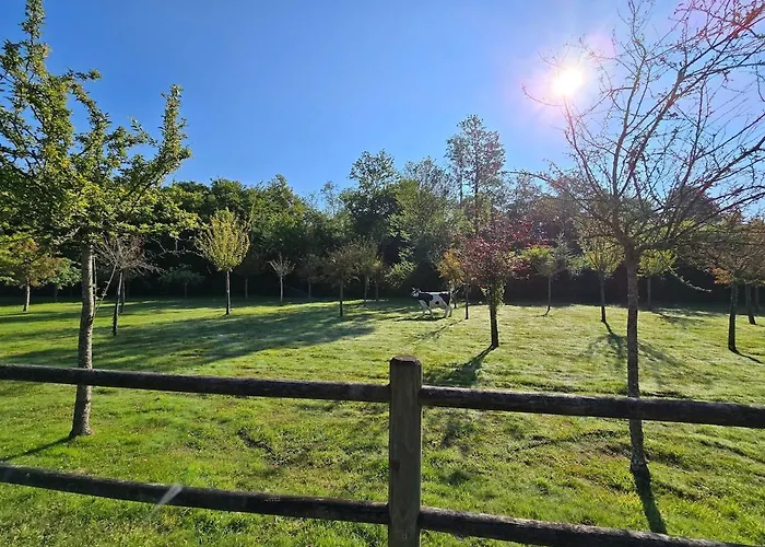 De Luxe, Piscine Chauffee & Nature Vitrai-Sous-Laigle