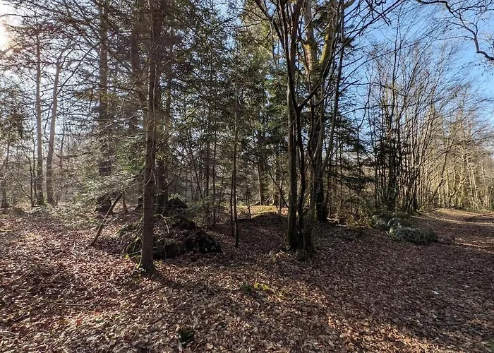 Villa De Luxe, Piscine Chauffee & Nature Vitrai-Sous-Laigle