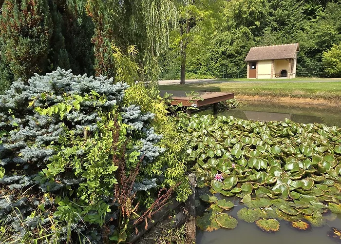 De Luxe, Piscine Chauffee & Nature Villa Vitrai-Sous-Laigle